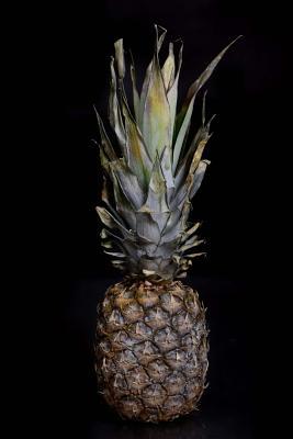 Download Pineapple Journal: 150 Page Lined Notebook/Diary - NOT A BOOK | PDF