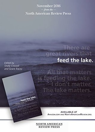 Read Feed the Lake: Essays on the Craft of Fiction - Shelly Criswell file in ePub
