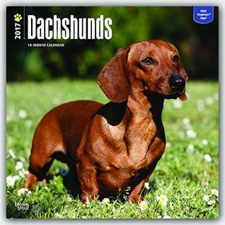 Read NOT A BOOK: Dachshunds 2017 Square Wall Calendar - NOT A BOOK file in PDF